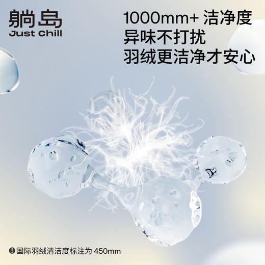 躺岛®️阳光绒绒高效分区复合羽绒被 商品图3