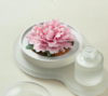 非遗瓷花香薰礼盒 知秋芙蓉伴手礼 商品缩略图0