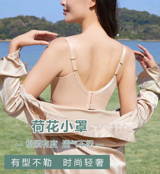新上荷花美罩系列小胸聚拢舒适调整型 云感棉透气文胸 商品图1