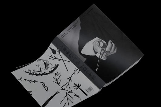 奇迹之境：艺术家手作书（买家承担运费，顺丰到付）2024中国“最美的书” 商品图6