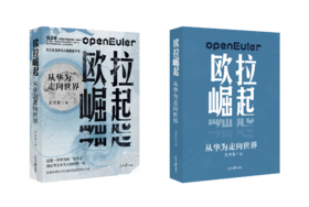 欧拉崛起：从华为走向世界（人民日报出版社）