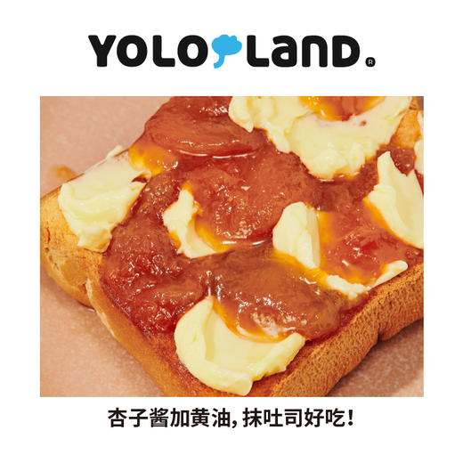 有乐岛 / 纯熬杏子酱 90%果肉含量 150g 商品图3