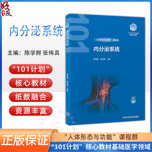 内分泌系统 教育部基础医学101计划核心教材 主编陈学群 张炜真 下丘脑垂体和松果体 甲状腺和甲状旁腺 北京大学医学9787565931956 商品图0