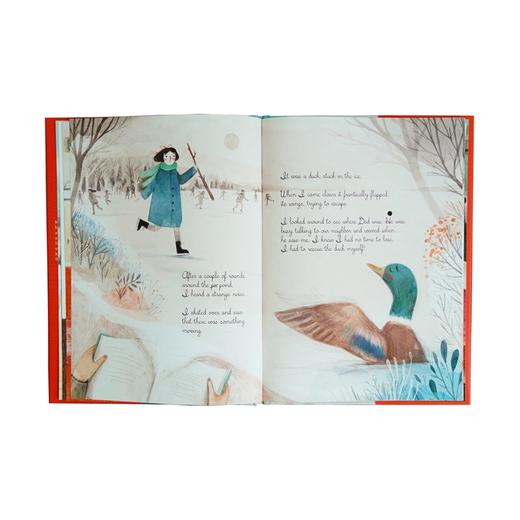 Lissy's Diary  精装  原本英文儿童绘本 商品图2