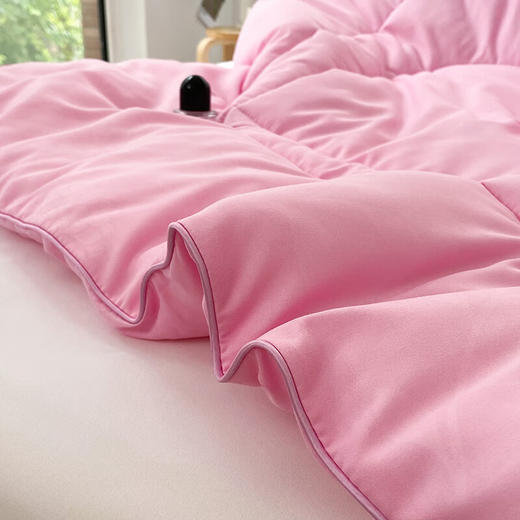 圣夫妮  亲肤磨毛舒适四季被200*230cmSFN-122 商品图3