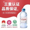 巴马丽琅 天然矿泉水 350ml/瓶 商品缩略图1