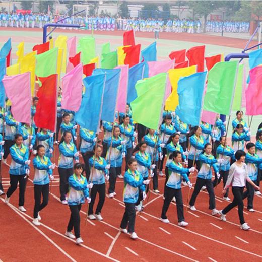 彩旗 刀旗 五色彩旗飘旗 路边旗 50*150随机颜色 10面 户外旗帜装饰红旗广告旗子 商品图4