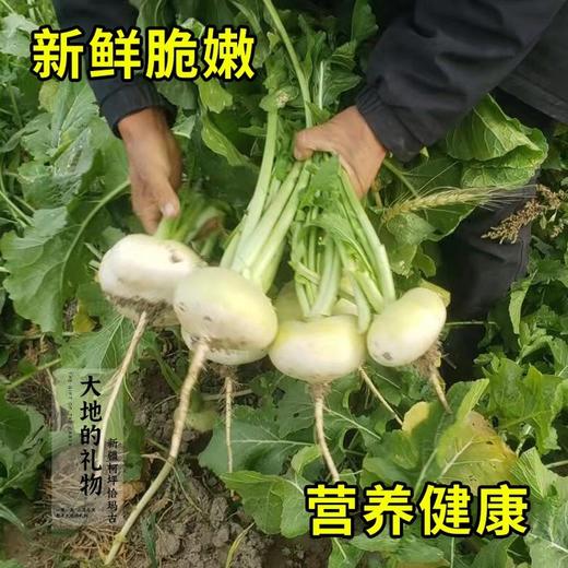 新疆地标长寿圣果【大地的礼物】新疆柯坪县恰玛古 果肉洁白 细嫩无筋 跟肉一起炖绝绝子 商品图0