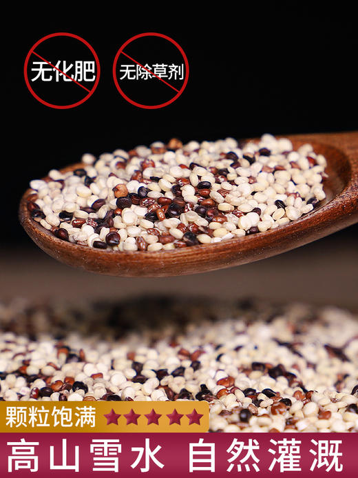 杞冠臻选 | 藜元 三色藜麦米 真空装 500g*2袋 保质期18个月 无需浸泡 商品图1