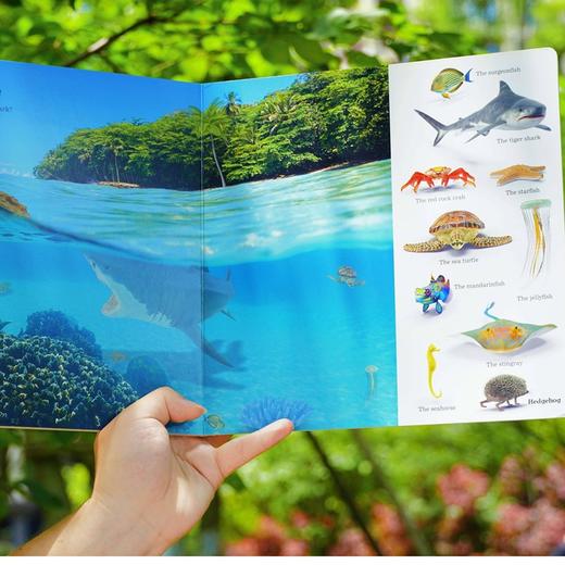 科普找找书  适合5岁+探索世界语言开发动物绘本 商品图3