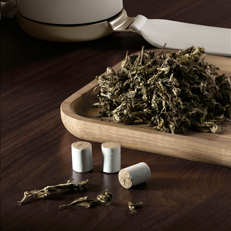 飞利浦PPM3603N 耗材套装（36根艾柱+过滤网1个