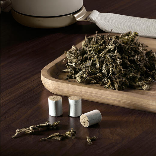 飞利浦PPM3603N 耗材套装（36根艾柱+过滤网1个 商品图0