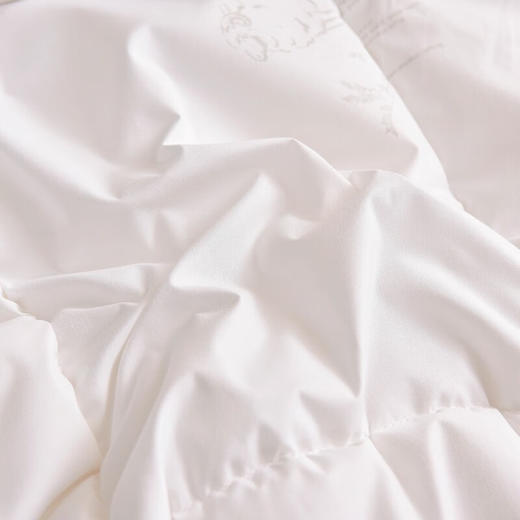 圣夫妮  亲肤澳州羊毛被200*230cmSFN-070 商品图4