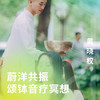 蔚洋共振颂钵音疗冥想-情绪清理 商品缩略图0