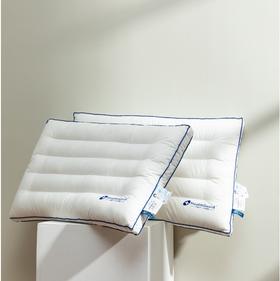 【远梦】抗菌防螨定型枕-大