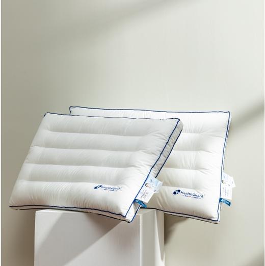 【远梦】抗菌防螨定型枕-大 商品图0