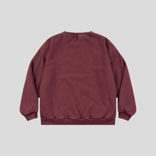 GOODBAI 916星星白鸽印花水洗加厚oversize卫衣 商品图4