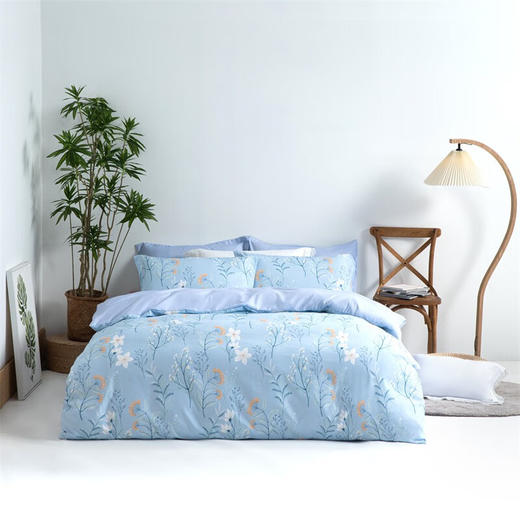 【小家电】水星家纺全涤磨毛四件套--雪映流光 HF 商品图0