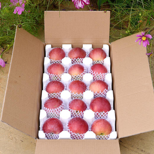 【云南】2025新果 昭通丑苹果 水果新鲜 整箱当季 商品图5