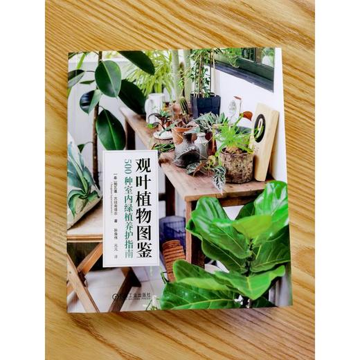 观叶植物图鉴 500种室内绿植养护指南 商品图1