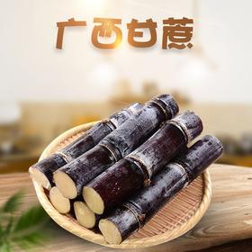 【超好吃！新鲜广西黑皮甘蔗】大自然的馈赠，一口咬下去饱满多汁，鲜甜四溢，果肉米白通透诱人，清甜不腻，当季水果特产整箱水果甜柑果蔗L