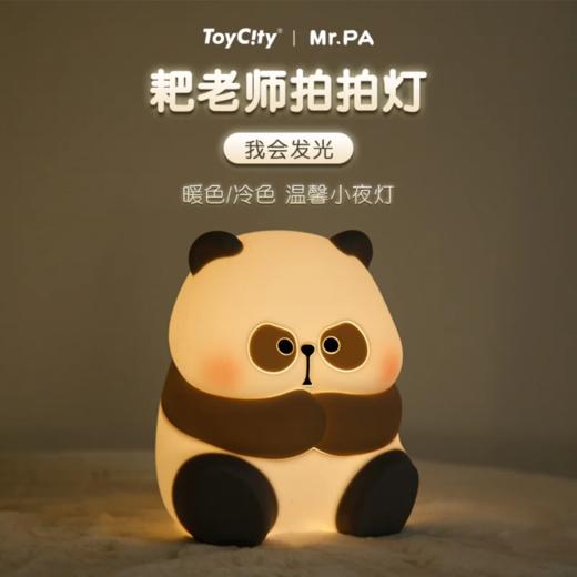 【双十一有礼】熊猫拍拍充电小夜灯卧室床头喂奶灯定时台灯送女生儿童礼物；官网特供 商品图1