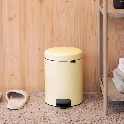 brabantia柏宾士脚踏垃圾桶5L进口卫生间厕所卧室高颜值小卫生桶 商品图0