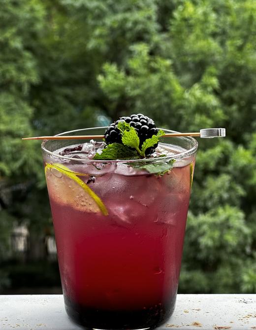 蓝莓桑葚苏打水 商品图0