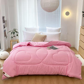 圣夫妮  亲肤磨毛舒适四季被200*230cmSFN-122