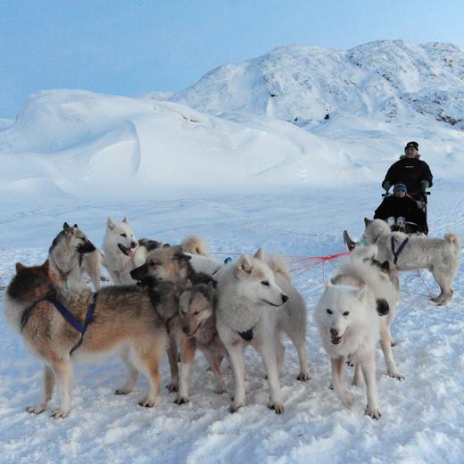 何以北极，在格陵兰因纽特领地做极光猎人【隐生】8天7晚 商品图2