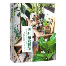 观叶植物图鉴 500种室内绿植养护指南
