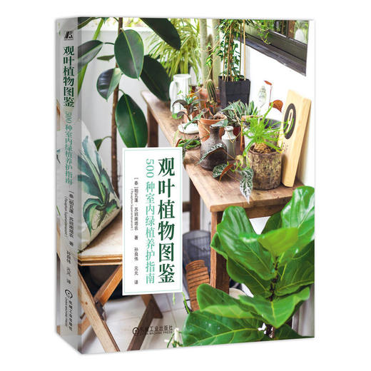 观叶植物图鉴 500种室内绿植养护指南 商品图0