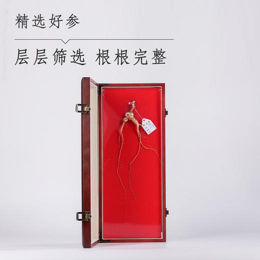 19年人参礼盒 商品图0