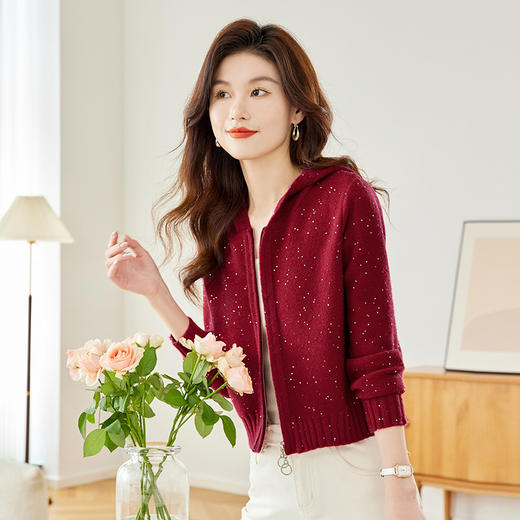 CC-MY-68315连帽羊毛针织外套女士短款2024新款秋冬季小香风上衣毛衣拉链开衫 商品图0