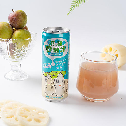 荆州洪湖 华贵 野藕汁310ml*12罐/提 商品图5