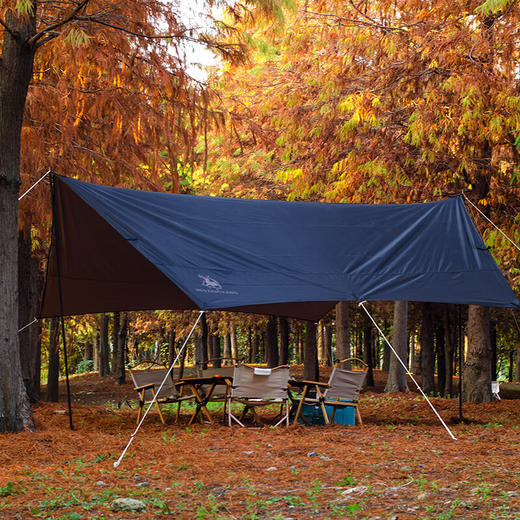 徽羚羊 户外露营休闲防雨遮阳涂银六角天幕—大号450*450 商品图1