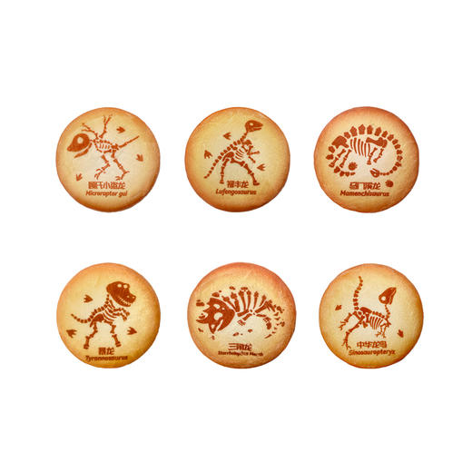 上海自然博物馆限定恐龙盛世系列饼干造型徽章 商品图4