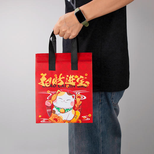 喇叭花无纺布外卖打包袋保温袋铝箔餐饮粥快餐包装手提袋子印刷logo防水定制 商品图12