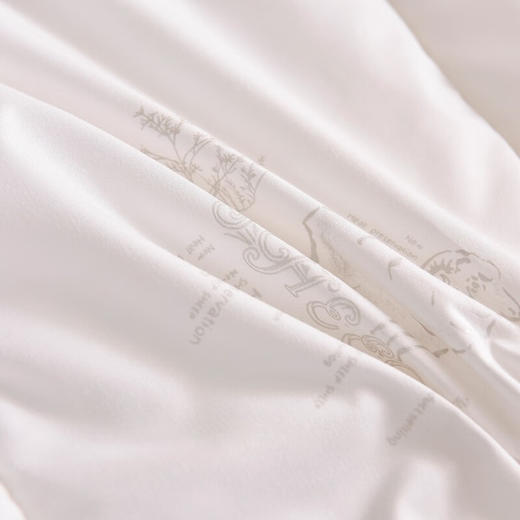 圣夫妮  亲肤澳州羊毛被200*230cmSFN-070 商品图1