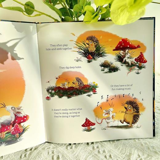 小刺猬系列 原版英文情商社交培养友谊故事绘本 商品图3