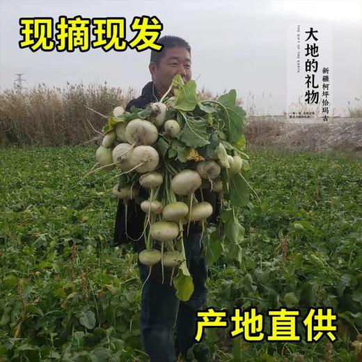 新疆地标长寿圣果【大地的礼物】新疆柯坪县恰玛古 果肉洁白 细嫩无筋 跟肉一起炖绝绝子 商品图2