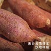 艾格吃饱了2024年云南沙地紫薯粉糯甜 商品缩略图0