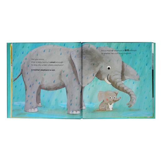 Just the right size适合3岁+日常生活探索世界认识动物英文绘本 商品图4