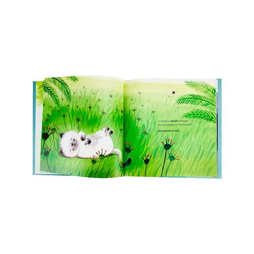 Just the right size适合3岁+日常生活探索世界认识动物英文绘本 商品图2