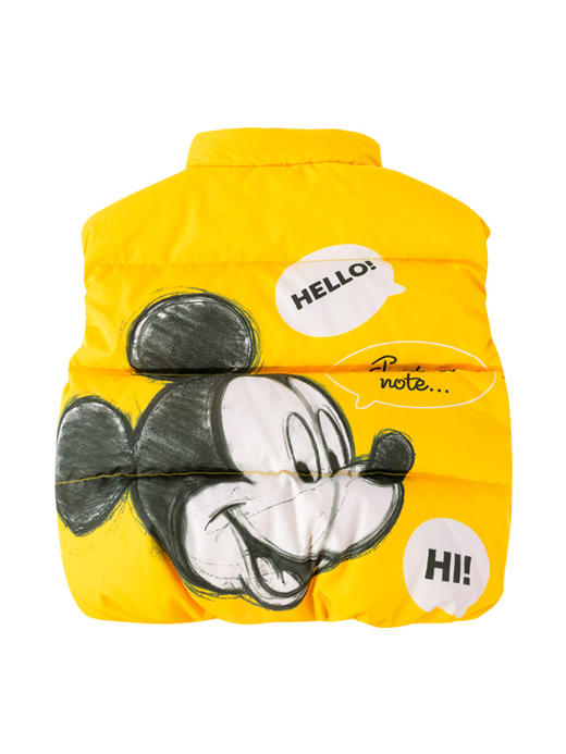 迪士尼冬季新款男童羽绒马甲中大童马甲214DS0287 商品图1