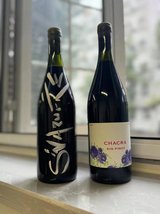 施语花酒庄32自然黑皮诺红葡萄酒 2022 Bodega Chacra Treint y Dos Sin Azufre Pinot Noir 商品图3