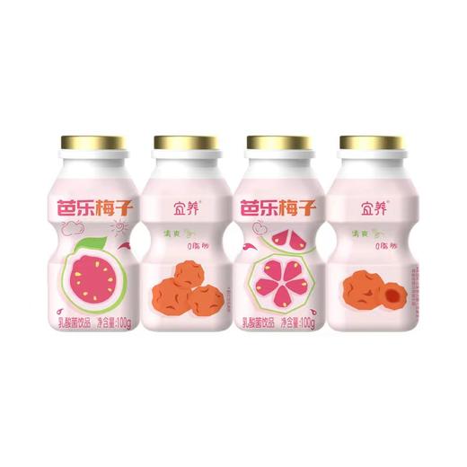 【宜昌助农馆】芭乐梅子多乳酸菌   夏日饮品100ml*20瓶 礼盒装 商品图3