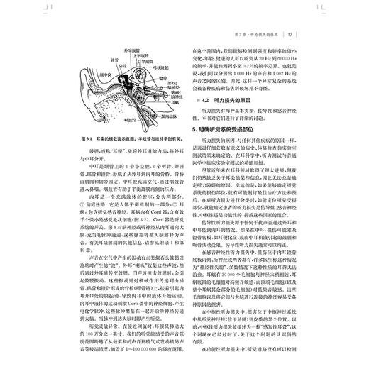 听力损失 听力基础与临床 耳科 罗伯特 萨塔洛夫韩朝  唐旭霞  刘月红主译上海科学技术出版社9787547867457 商品图4