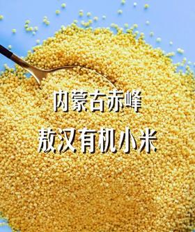谷中黄金！赤峰敖汉【有机黄小米+四色有机小米】“世界小米之乡” 8千年小米种植历史 米色透亮 颗粒饱满 煮出粘稠黄金小米油