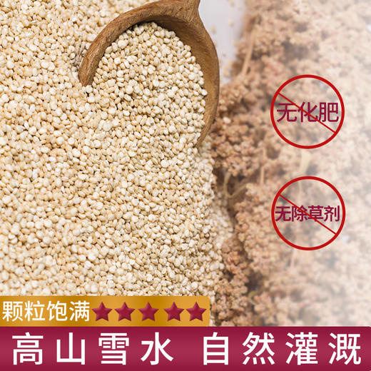 杞冠臻选 | 藜元 白藜麦米 真空装 500g*2袋 保质期18个月 无需浸泡 商品图2